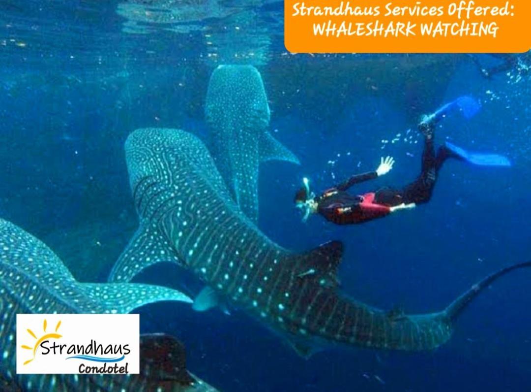 Strandhaus Condotel موالبوال المظهر الخارجي الصورة